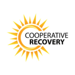 Cooperative Recovery